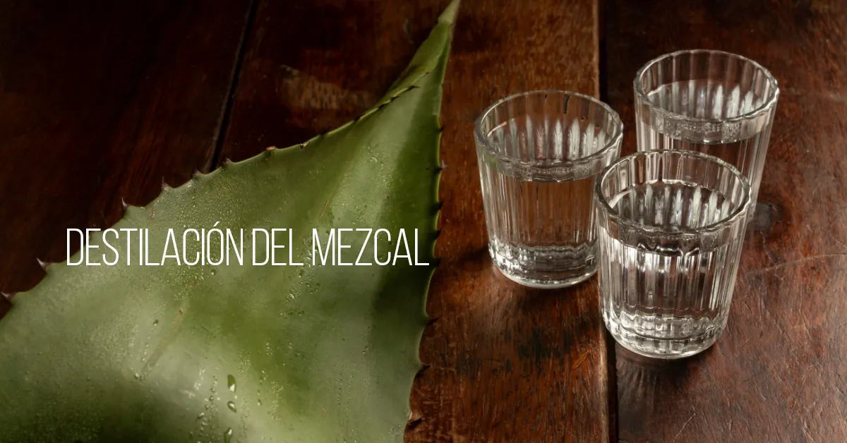 destilación del mezcal